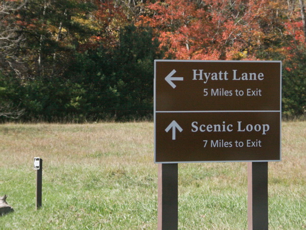 Hyatt Lane