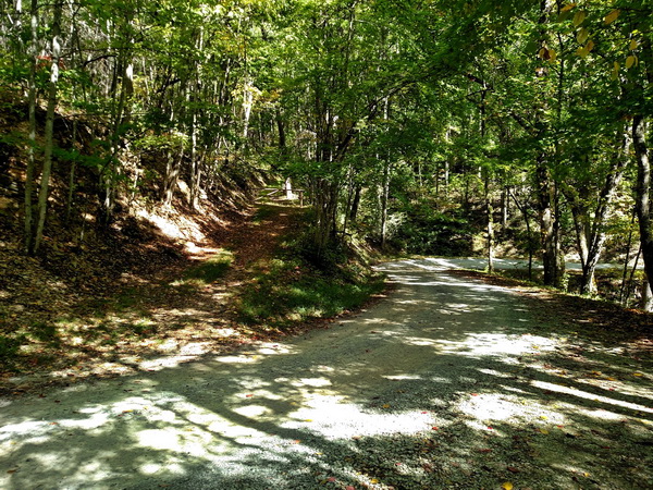 Indian Grave Trailhead