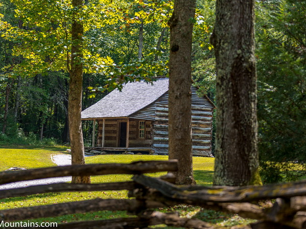 Carter Shields Cabin